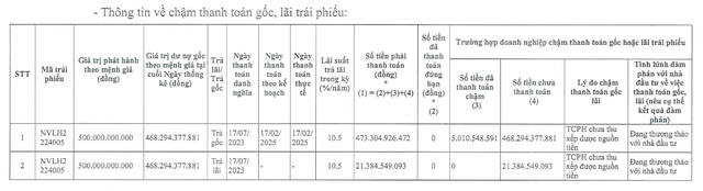 Novaland khất nợ hơn 480 tỷ đồng tiền gốc, lãi trái phiếu- Ảnh 1.