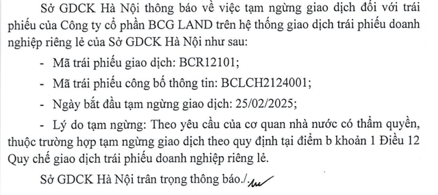 Lô trái phiếu của BCG Land và công ty liên quan bị tạm ngừng giao dịch- Ảnh 1.