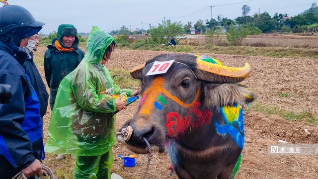 Những chú trâu "rực rỡ" đem xuân về tại lễ hội Tịch điền Đọi Sơn- Ảnh 1.