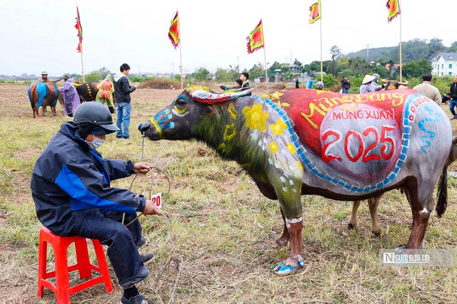 Những chú trâu "rực rỡ" đem xuân về tại lễ hội Tịch điền Đọi Sơn- Ảnh 7.