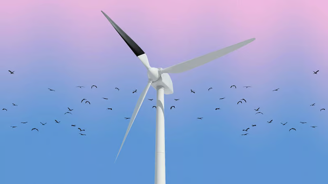 Lý do turbine điện gió ngoài khơi ở Vương quốc Anh được sơn màu đen- Ảnh 1. Lý do turbine điện gió ngoài khơi ở Vương quốc Anh được sơn màu đen- Ảnh 1.