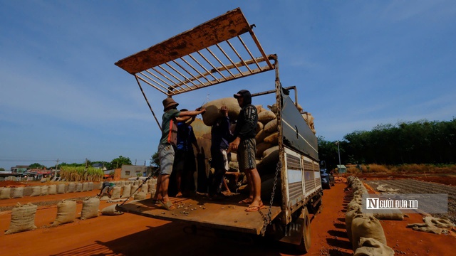 Bình Phước là Bình Phước là