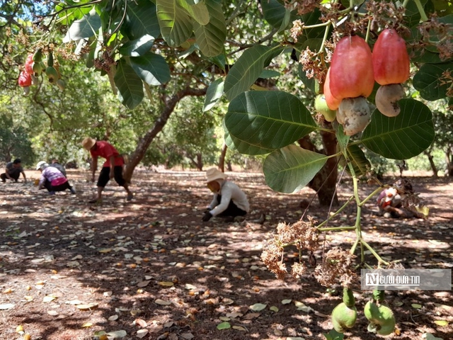 Bình Phước là Bình Phước là