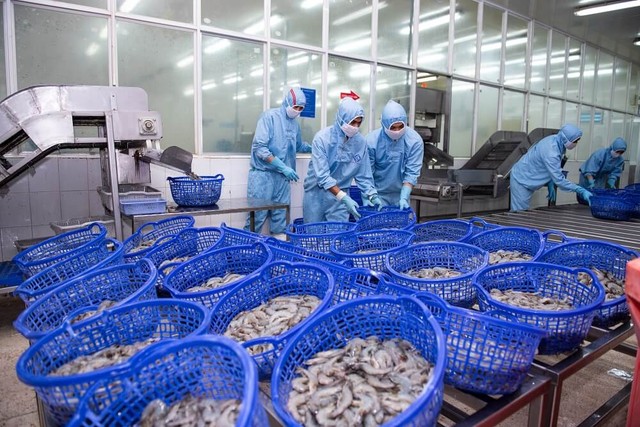 Ngành thủy sản quý I/2025: Sóng phục hồi đã nổi- Ảnh 1. Ngành thủy sản quý I/2025: Sóng phục hồi đã nổi- Ảnh 1.