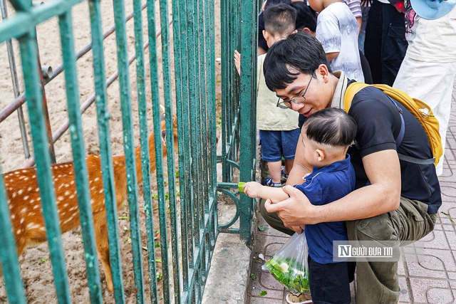 Vườn thú Hà Nội “thất thủ” trong kỳ nghỉ lễ 30/4 – 1/5- Ảnh 8. Vườn thú Hà Nội “thất thủ” trong kỳ nghỉ lễ 30/4 – 1/5- Ảnh 8.