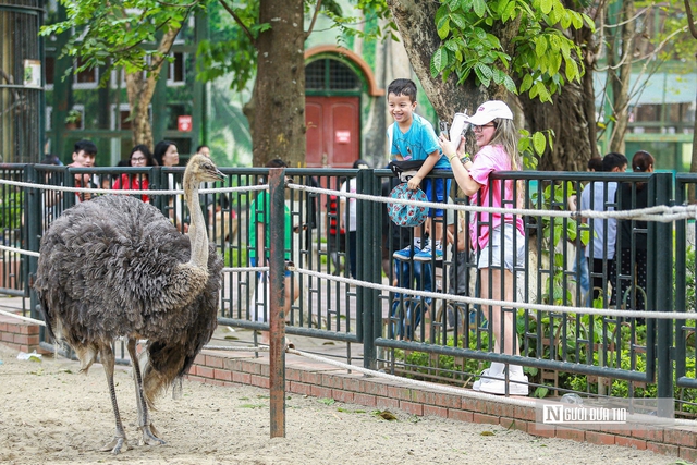 Vườn thú Hà Nội “thất thủ” trong kỳ nghỉ lễ 30/4 – 1/5- Ảnh 3. Vườn thú Hà Nội “thất thủ” trong kỳ nghỉ lễ 30/4 – 1/5- Ảnh 3.
