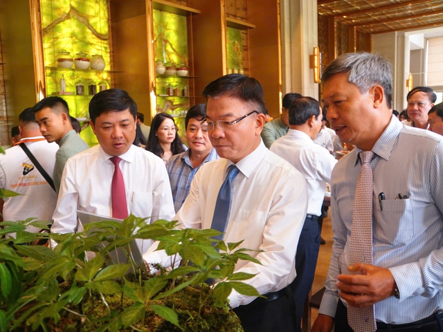 Sâm Ngọc Linh và chiến lược phát triển dược liệu bền vững ở Quảng Nam- Ảnh 2. Sâm Ngọc Linh và chiến lược phát triển dược liệu bền vững ở Quảng Nam- Ảnh 2.