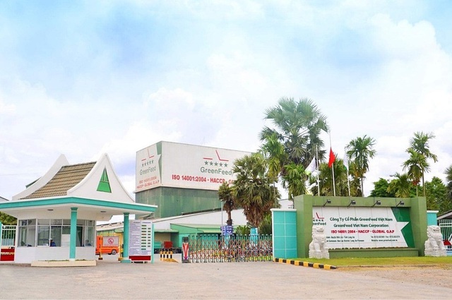 GreenFeed "vượt mặt" Dabaco, BAF, HAGL- Ảnh 2. GreenFeed "vượt mặt" Dabaco, BAF, HAGL- Ảnh 2.