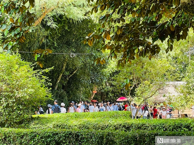Tháng Năm về, ngắm hoa sen bình dị ở quê Bác- Ảnh 2. Tháng Năm về, ngắm hoa sen bình dị ở quê Bác- Ảnh 2.