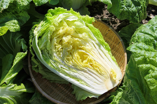 Mỹ đánh giá "rau tốt nhất thế giới", hóa ra là rau quen thuộc ở Việt Nam- Ảnh 2. Mỹ đánh giá "rau tốt nhất thế giới", hóa ra là rau quen thuộc ở Việt Nam- Ảnh 2.