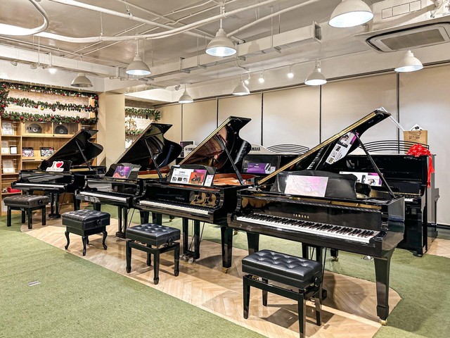 Piano Đức Trí - Một trong những đơn vị dẫn đầu ngành Piano tại Việt Nam- Ảnh 1. Piano Đức Trí - Một trong những đơn vị dẫn đầu ngành Piano tại Việt Nam- Ảnh 1.