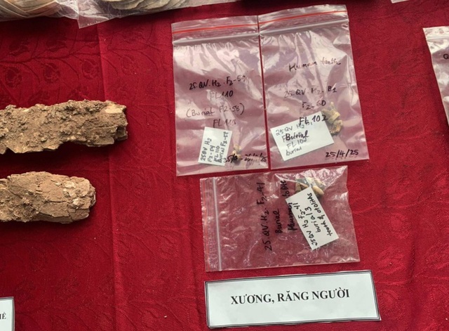 Hé lộ những phát hiện quan trọng về cư dân thời đá mới tại di chỉ khảo cổ Quỳnh Văn- Ảnh 4. Hé lộ những phát hiện quan trọng về cư dân thời đá mới tại di chỉ khảo cổ Quỳnh Văn- Ảnh 4.