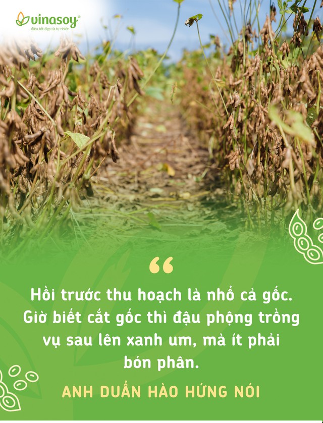 Chuyện người giữ sức khỏe cho đất- Ảnh 5. Chuyện người giữ sức khỏe cho đất- Ảnh 5.