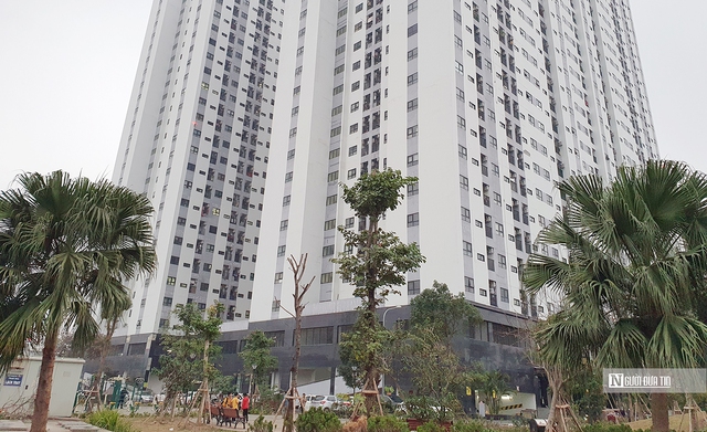 Thu hồi hàng nghìn căn chung cư là tài sản công bị sử dụng sai mục đích- Ảnh 1. Thu hồi hàng nghìn căn chung cư là tài sản công bị sử dụng sai mục đích- Ảnh 1.