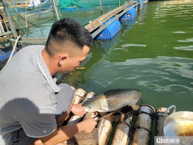 Cuộc chiến ở Cuộc chiến ở