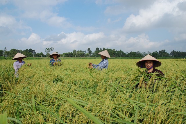 Tư duy mới cho nông nghiệp chuyển mình- Ảnh 2.