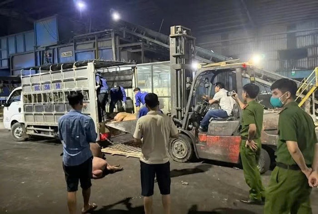 Vĩnh Phúc: Phát hiện hơn 1 tấn thịt lợn bẩn chuẩn bị tuồn ra thị trường- Ảnh 1.