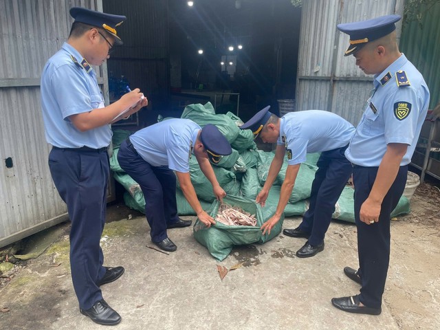 Bản tin 29/5: Phát hiện gần 8 tấn chân gà không rõ nguồn gốc- Ảnh 1. Bản tin 29/5: Phát hiện gần 8 tấn chân gà không rõ nguồn gốc- Ảnh 1.