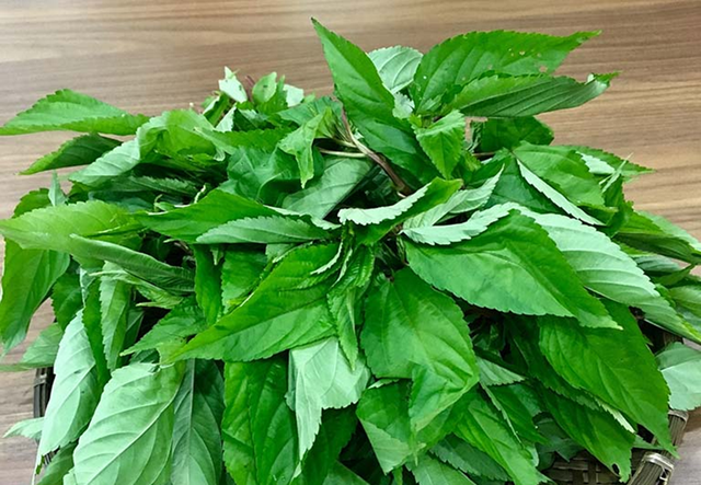 2 loại rau không lo "ngậm" thuốc trừ sâu, loại đầu bảng người Việt ít ai hay- Ảnh 1. 2 loại rau không lo "ngậm" thuốc trừ sâu, loại đầu bảng người Việt ít ai hay- Ảnh 1.