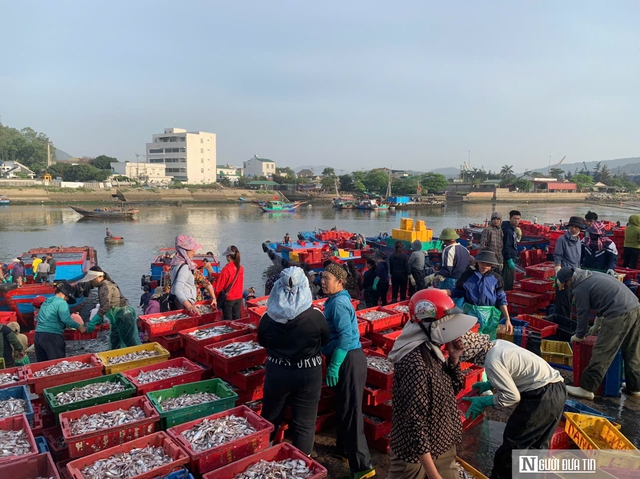 Chợ hải sản ở Cửa Lò "hút" du khách mùa biển gọi- Ảnh 4. Chợ hải sản ở Cửa Lò "hút" du khách mùa biển gọi- Ảnh 4.