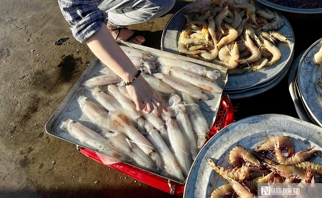 Chợ hải sản ở Cửa Lò "hút" du khách mùa biển gọi- Ảnh 5. Chợ hải sản ở Cửa Lò "hút" du khách mùa biển gọi- Ảnh 5.