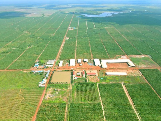 HAGL Agrico của Chủ tịch Trần Bá Dương còn vỏn vẹn hơn 3 tỷ tiền mặt- Ảnh 1. HAGL Agrico của Chủ tịch Trần Bá Dương còn vỏn vẹn hơn 3 tỷ tiền mặt- Ảnh 1.