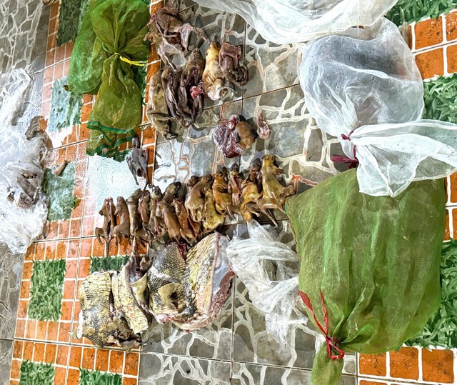 Đồng Nai: Phát hiện hàng chục cá thể động vật rừng tại một quán ăn ở Vĩnh Cửu- Ảnh 1. Đồng Nai: Phát hiện hàng chục cá thể động vật rừng tại một quán ăn ở Vĩnh Cửu- Ảnh 1.