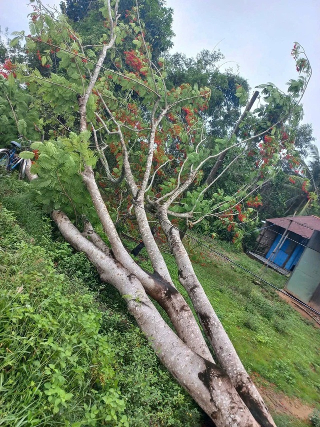 Công an thông tin vụ 2 thanh niên đi xe máy tử vong do bị giật điện- Ảnh 2. Công an thông tin vụ 2 thanh niên đi xe máy tử vong do bị giật điện- Ảnh 2.