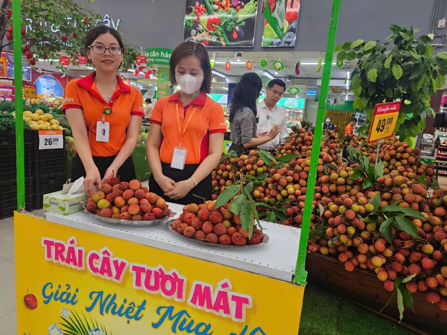 Hàng trăm tấn vải thiều Lục Ngạn lên kệ ở siêu thị miền Nam- Ảnh 3. Hàng trăm tấn vải thiều Lục Ngạn lên kệ ở siêu thị miền Nam- Ảnh 3.