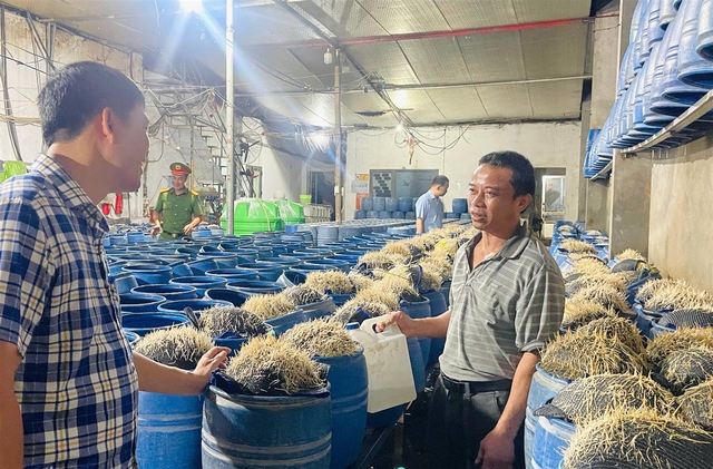 Dùng hóa chất độc hại sản xuất giá đỗ, 3 người ở Lào Cai bị khởi tố- Ảnh 3. Dùng hóa chất độc hại sản xuất giá đỗ, 3 người ở Lào Cai bị khởi tố- Ảnh 3.