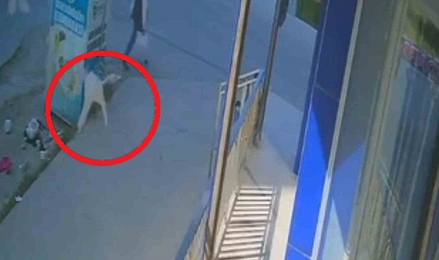 Bé gái bất ngờ rơi từ ban công tầng 5 xuống vỉa hè- Ảnh 1. Bé gái bất ngờ rơi từ ban công tầng 5 xuống vỉa hè- Ảnh 1.