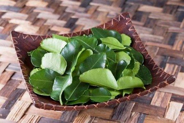 Đừng chỉ ăn quả, lá loại cây này quý như "nhân sâm người nghèo" ở quê mọc um tùm- Ảnh 1. Đừng chỉ ăn quả, lá loại cây này quý như "nhân sâm người nghèo" ở quê mọc um tùm- Ảnh 1.