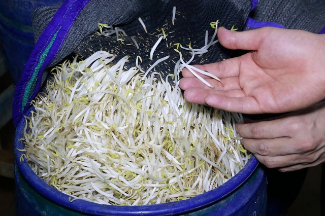 Nghệ An quyết liệt ngăn chặn buôn lậu, gian lận thương mại và hàng giả- Ảnh 2. Nghệ An quyết liệt ngăn chặn buôn lậu, gian lận thương mại và hàng giả- Ảnh 2.