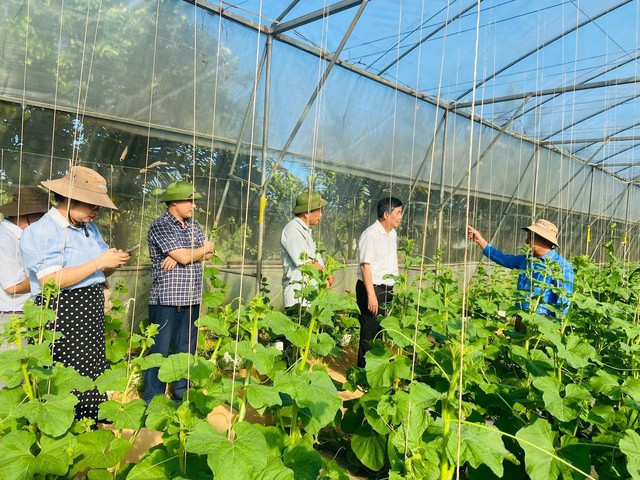 Khi công nghệ tham gia vào "cày sâu cuốc bẫm" - Bài 1: Công nghệ thay đổi cuộc chơi nông nghiệp toàn cầu- Ảnh 4. Khi công nghệ tham gia vào "cày sâu cuốc bẫm" - Bài 1: Công nghệ thay đổi cuộc chơi nông nghiệp toàn cầu- Ảnh 4.