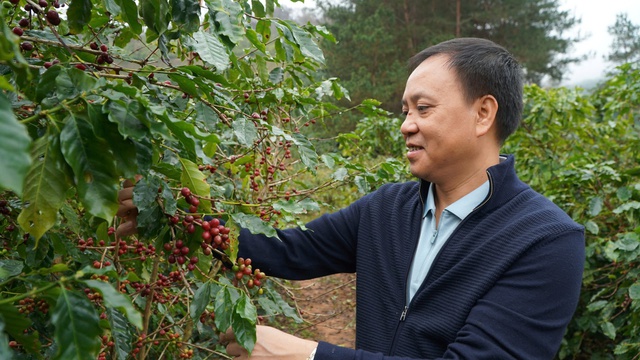 "Mầm hoạ ung thư đóng gói" đằng sau ly cà phê đen đặc- Ảnh 3. "Mầm hoạ ung thư đóng gói" đằng sau ly cà phê đen đặc- Ảnh 3.