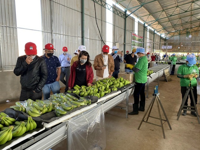 Tham vọng mới của bầu Đức- Ảnh 1. Tham vọng mới của bầu Đức- Ảnh 1.