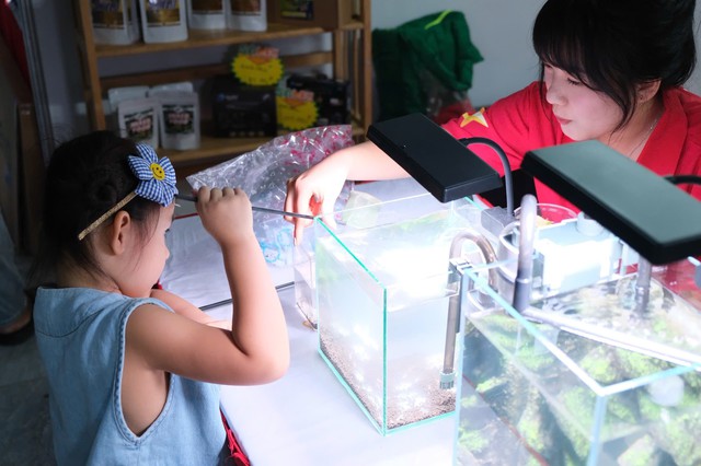 VNAC 2025 - Sân chơi lớn nhất của giới yêu thủy sinh tại Tp.HCM- Ảnh 1. VNAC 2025 - Sân chơi lớn nhất của giới yêu thủy sinh tại Tp.HCM- Ảnh 1.