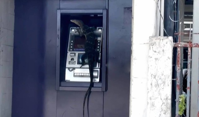 Đi rút tiền, người dân bắt gặp cảnh tượng đáng sợ ở cây ATM- Ảnh 1.