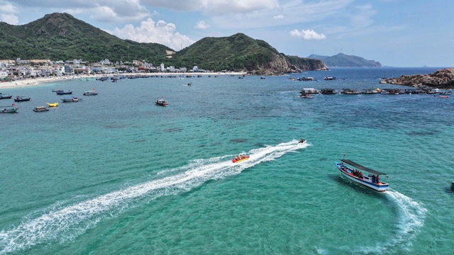 Khám phá vẻ đẹp quyến rũ của "cánh đồng rong mơ" trên biển Nhơn Hải- Ảnh 2. Khám phá vẻ đẹp quyến rũ của "cánh đồng rong mơ" trên biển Nhơn Hải- Ảnh 2.