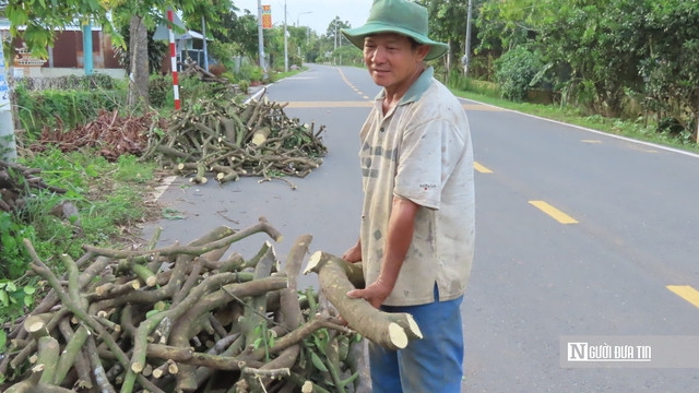 Nâng tầm nông sản Đồng Nai – Kỳ 2: Tái cấu trúc nông nghiệp để vượt "điểm nghẽn" - Ảnh 4. Nâng tầm nông sản Đồng Nai – Kỳ 2: Tái cấu trúc nông nghiệp để vượt "điểm nghẽn" - Ảnh 4.