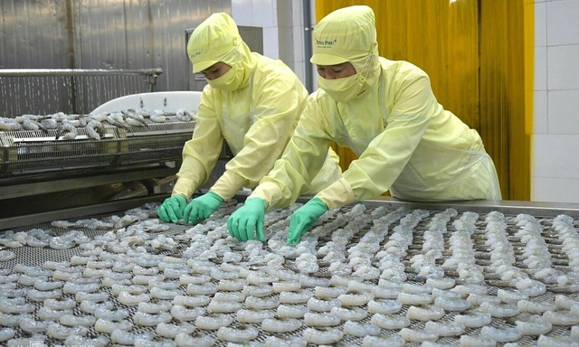 “Vua tôm” Minh Phú bước vào cuộc giải cứu chính mình- Ảnh 1. “Vua tôm” Minh Phú bước vào cuộc giải cứu chính mình- Ảnh 1.