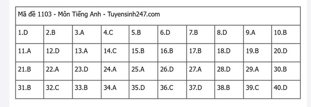Đáp án môn tiếng Anh thi tốt nghiệp THPT 2025 mã đề 1103 nhanh nhất, đầy đủ nhất- Ảnh 1. Đáp án môn tiếng Anh thi tốt nghiệp THPT 2025 mã đề 1103 nhanh nhất, đầy đủ nhất- Ảnh 1.