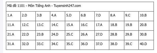 Đáp án môn tiếng Anh thi tốt nghiệp THPT 2025 mã đề 1101 nhanh nhất, đầy đủ nhất- Ảnh 5. Đáp án môn tiếng Anh thi tốt nghiệp THPT 2025 mã đề 1101 nhanh nhất, đầy đủ nhất- Ảnh 5.