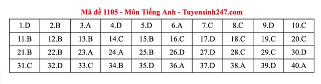 Đáp án môn tiếng Anh thi tốt nghiệp THPT 2025 mã đề 1105 nhanh nhất, đầy đủ nhất- Ảnh 5. Đáp án môn tiếng Anh thi tốt nghiệp THPT 2025 mã đề 1105 nhanh nhất, đầy đủ nhất- Ảnh 5.