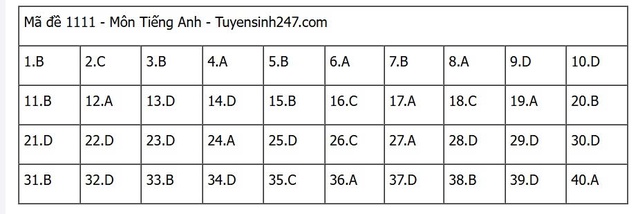 Đáp án môn tiếng Anh thi tốt nghiệp THPT 2025 mã đề 1111 nhanh nhất, đầy đủ nhất- Ảnh 5. Đáp án môn tiếng Anh thi tốt nghiệp THPT 2025 mã đề 1111 nhanh nhất, đầy đủ nhất- Ảnh 5.