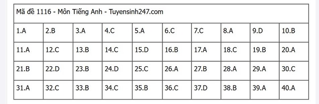 Đáp án môn tiếng Anh thi tốt nghiệp THPT 2025 mã đề 1116 nhanh nhất, đầy đủ nhất- Ảnh 5. Đáp án môn tiếng Anh thi tốt nghiệp THPT 2025 mã đề 1116 nhanh nhất, đầy đủ nhất- Ảnh 5.