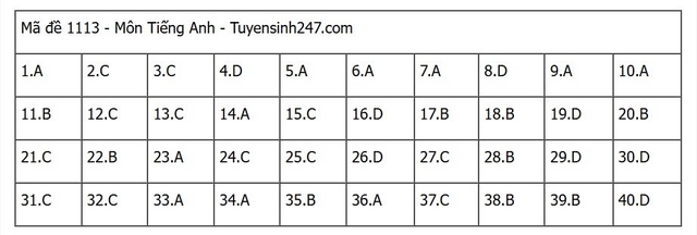 Đáp án môn tiếng Anh thi tốt nghiệp THPT 2025 mã đề 1113 nhanh nhất, đầy đủ nhất- Ảnh 1. Đáp án môn tiếng Anh thi tốt nghiệp THPT 2025 mã đề 1113 nhanh nhất, đầy đủ nhất- Ảnh 1.