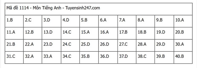Đáp án môn tiếng Anh thi tốt nghiệp THPT 2025 mã đề 1114 nhanh nhất, đầy đủ nhất- Ảnh 1. Đáp án môn tiếng Anh thi tốt nghiệp THPT 2025 mã đề 1114 nhanh nhất, đầy đủ nhất- Ảnh 1.