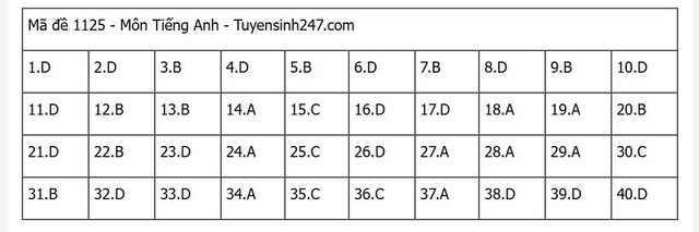 Đáp án môn tiếng Anh thi tốt nghiệp THPT 2025 mã đề 1125 nhanh nhất, đầy đủ nhất- Ảnh 5. Đáp án môn tiếng Anh thi tốt nghiệp THPT 2025 mã đề 1125 nhanh nhất, đầy đủ nhất- Ảnh 5.