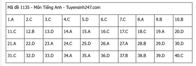 Đáp án môn tiếng Anh thi tốt nghiệp THPT 2025 mã đề 1135 nhanh nhất, đầy đủ nhất- Ảnh 5. Đáp án môn tiếng Anh thi tốt nghiệp THPT 2025 mã đề 1135 nhanh nhất, đầy đủ nhất- Ảnh 5.